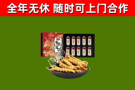 高淳烟酒回收冬虫夏草礼盒.jpg